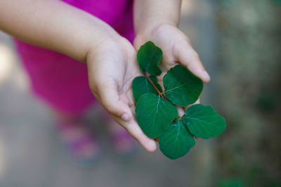 Close-up of open child hands holding green plant. environment education and earth day concept