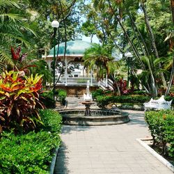 Footpath in garden