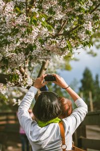 Woman in a tree