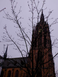 Low angle view of bare tree against sky