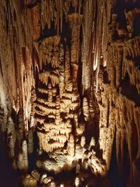 Close-up of cave