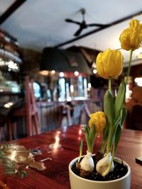 Close-up of yellow flowers on table in restaurant