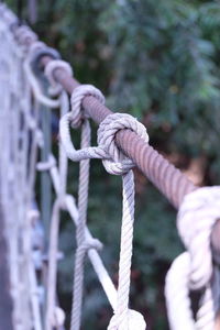 Close-up of rope tied on wooden post