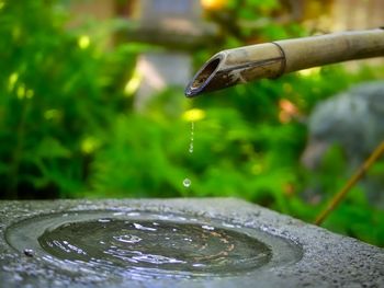 Close-up of water drop on leaf