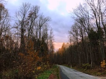 Road amidst bare trees during autumn