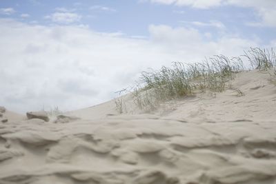 Sand dune on beach against sky