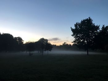 Silhouette trees on field against sky during sunset