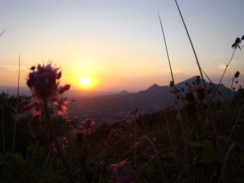 Scenic view of grassy field against sky during sunset