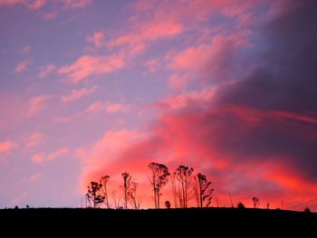 Silhouette trees on field against romantic sky at sunset