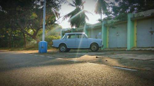 Car parked against trees