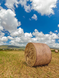 Round bales harvesting in golden field landscape, south sardinia