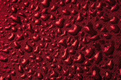 Full frame shot of wet red surface