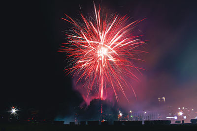 Low angle view of firework display at night