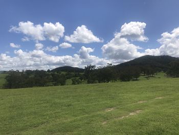 Scenic view of field against sky