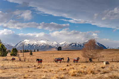 Beautiful view along the godley peaks road to the mt john astronomical observatory, new zealand.