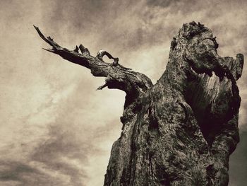 Low angle view of tree against sky