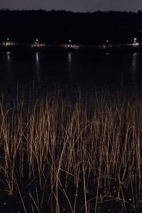 Scenic view of sea against sky at night