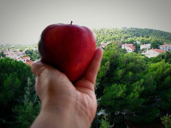 Close-up of hand holding apple against sky