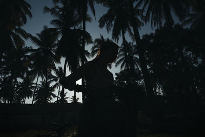 Low angle view of silhouette tree against sky at night