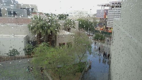 Wet road amidst trees in city during rainy season