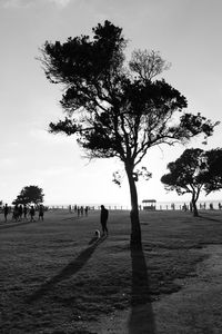 Silhouette tree on field against sky