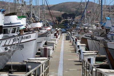 Sailboats moored at harbor