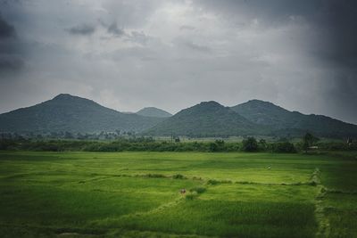mountain