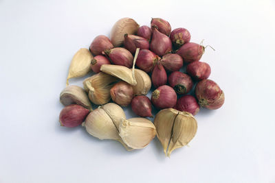 High angle view of eggs against white background