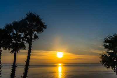 Silhouette palm tree by sea against sky during sunset