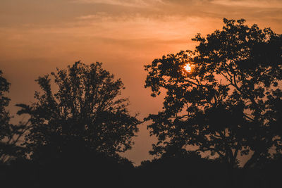 Low angle view of silhouette trees against sky at sunset