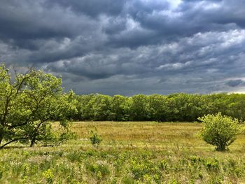 Scenic view of field against sky