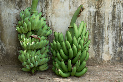 Close-up of bananas by wall