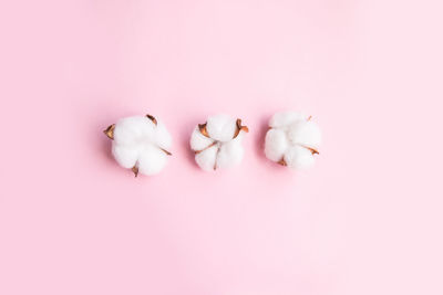 High angle view of pink petals on white background