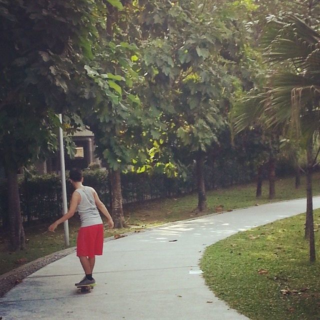 full length, rear view, tree, lifestyles, walking, casual clothing, leisure activity, person, the way forward, footpath, standing, men, growth, park - man made space, outdoors, day, nature, green color