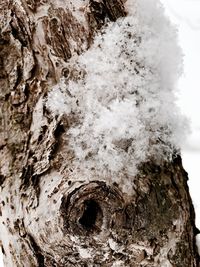 Close-up of water