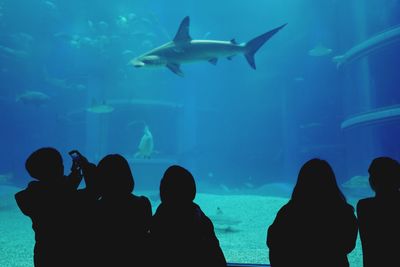 People looking at fishes swimming in aquarium