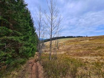 Scenic view of land against sky