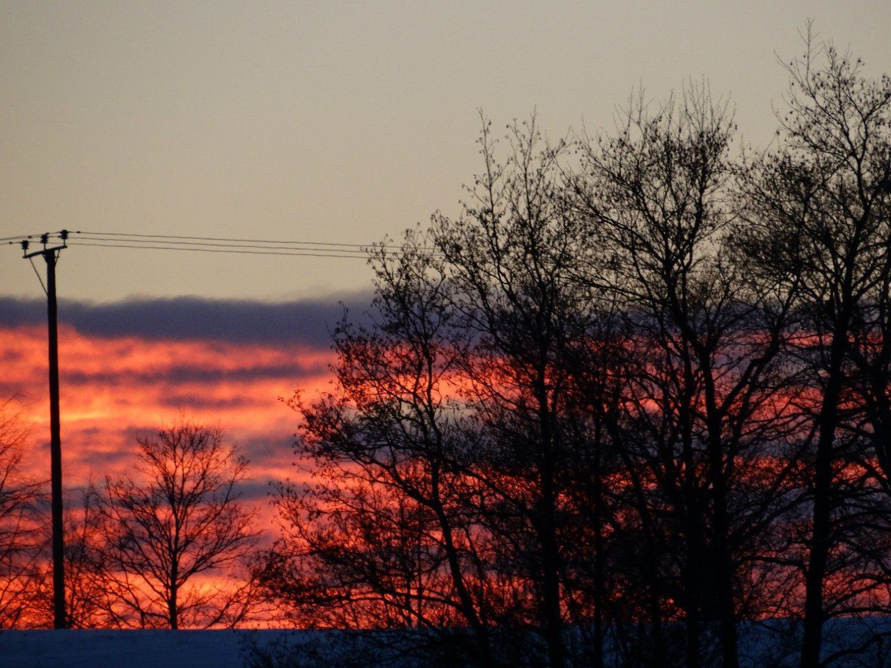 bare tree, sunset, tree, silhouette, orange color, branch, sky, tranquility, tranquil scene, scenics, beauty in nature, nature, dusk, outdoors, no people, idyllic, power line, low angle view, non-urban scene, cloud - sky