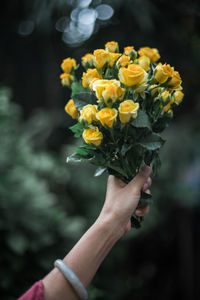 Cropped hand of woman holding yellow flower bouquet