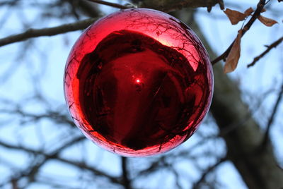 Low angle view of branches against blurred background