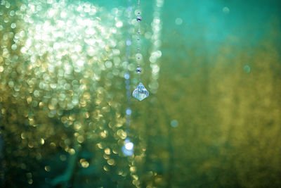 Close-up of water drops on leaf