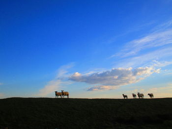 Scenic view of land against sky