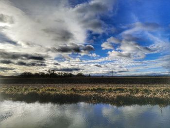 Scenic view of field against sky