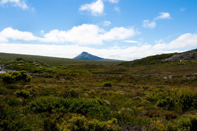 Scenic view of field against sky