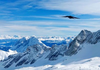 Bird flying over snowcapped mountains against sky