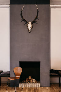 Animal skull hanging on wall at home