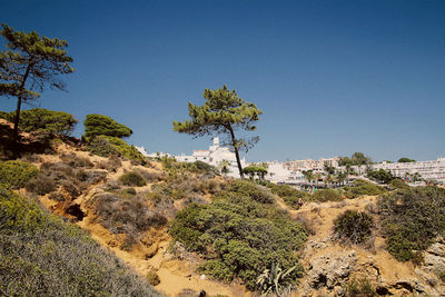 Trees on landscape against clear blue sky