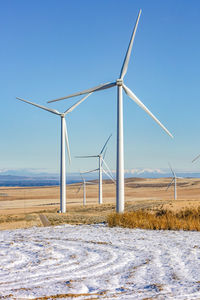 Wind turbines in a field with clear sky