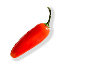 Close-up of tomato against white background