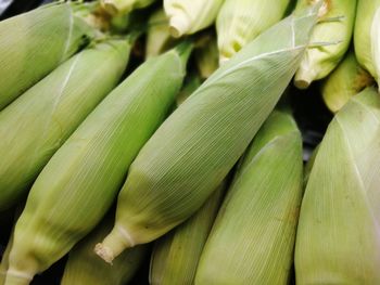 Full frame shot of corns for sale